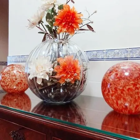 Willa Sweet Lux Vau *